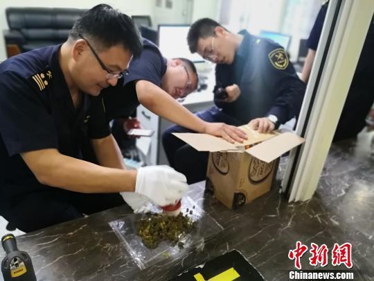 查获大麻走私